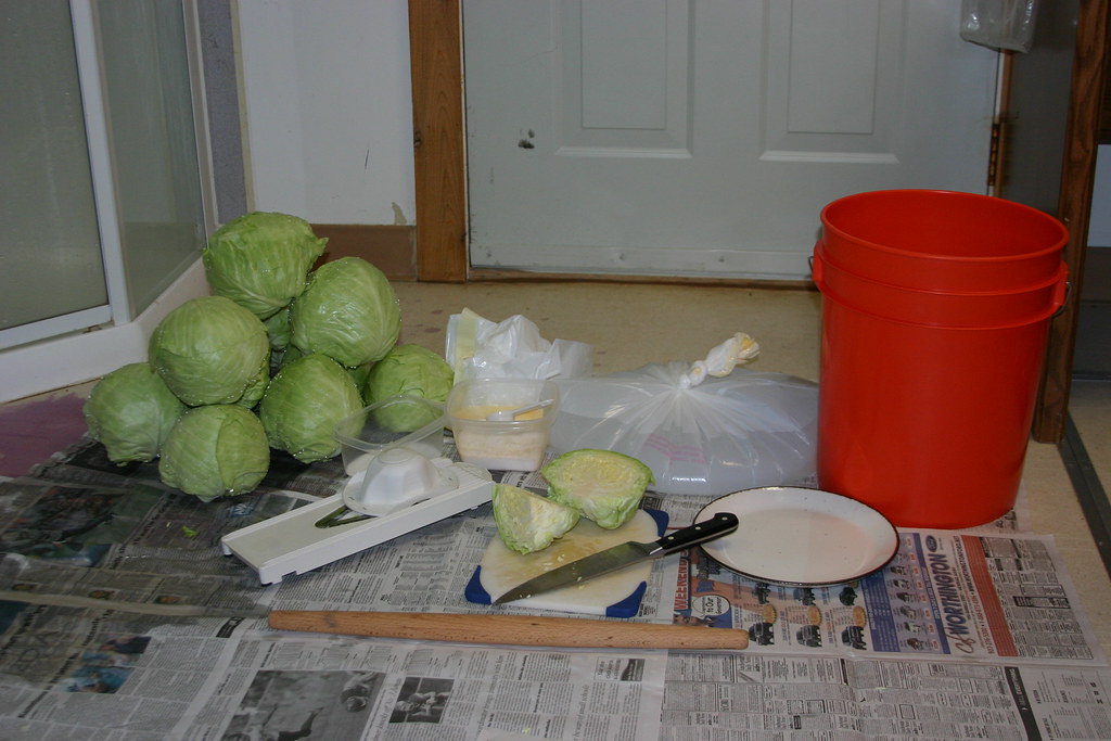 HOW TO COOK CANNED SAUERKRAUT