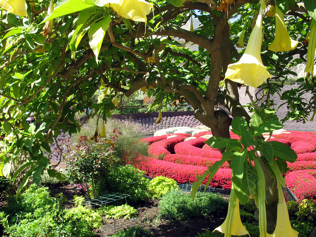 Horns Garden Centre GARDEN ORNAMENTS ANIMALS