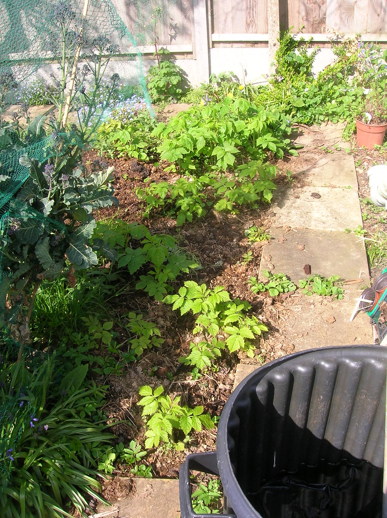 Highfield Garden Centre GARDEN WALL LIGHTS