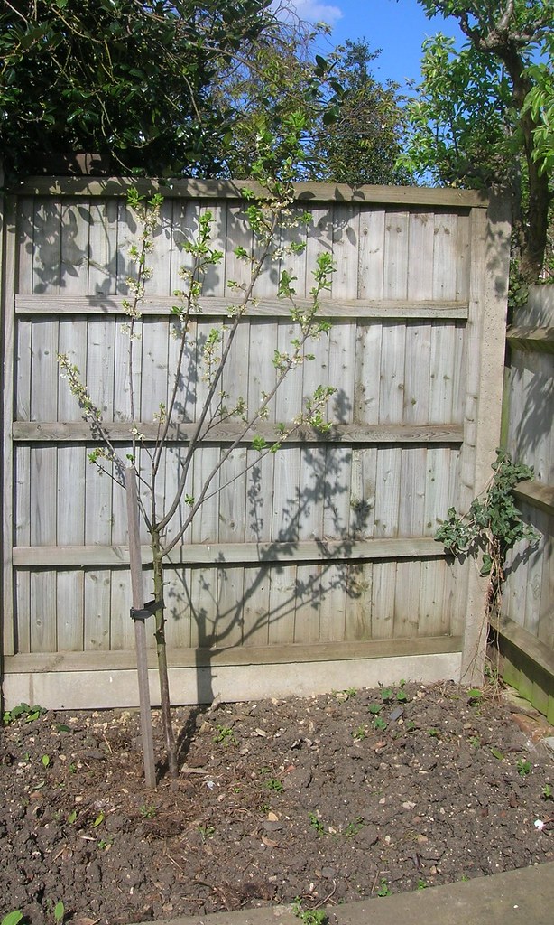 Highfield Garden Centre GARDEN WALL LIGHTS