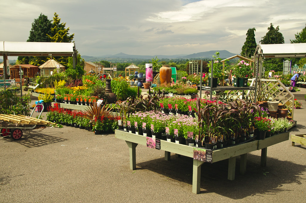 Raglan Garden Centre GARDEN ARCHES METAL