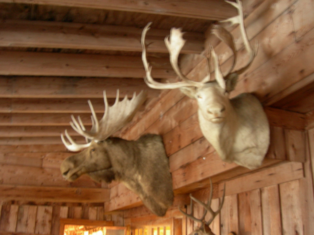 FISHING CAMP DECOR FISHING CAMP DECOR