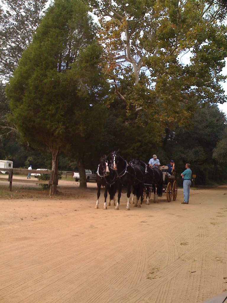WHITE PAGES AIKEN SC