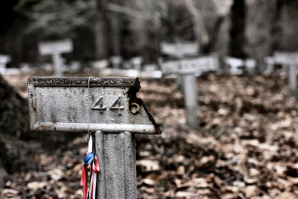 Doctors Accepting New Patients Ontario CPSO DOCTOR SEARCH