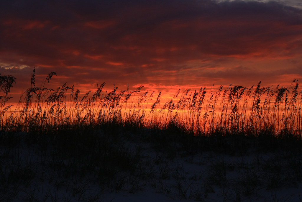 ESCAMBIA COUNTY JAIL INMATE SEARCH ESCAMBIA COUNTY JAIL ESCAMBIA