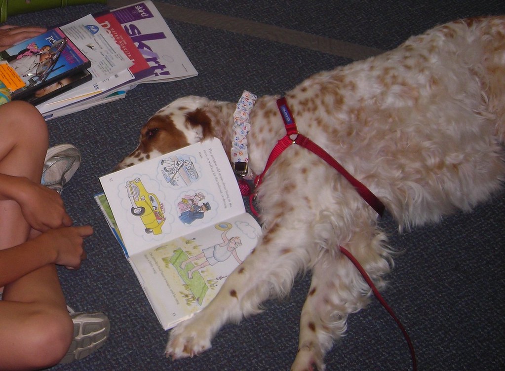 AIKEN COUNTY INMATE SEARCH INMATE SEARCH Aiken county inmate search