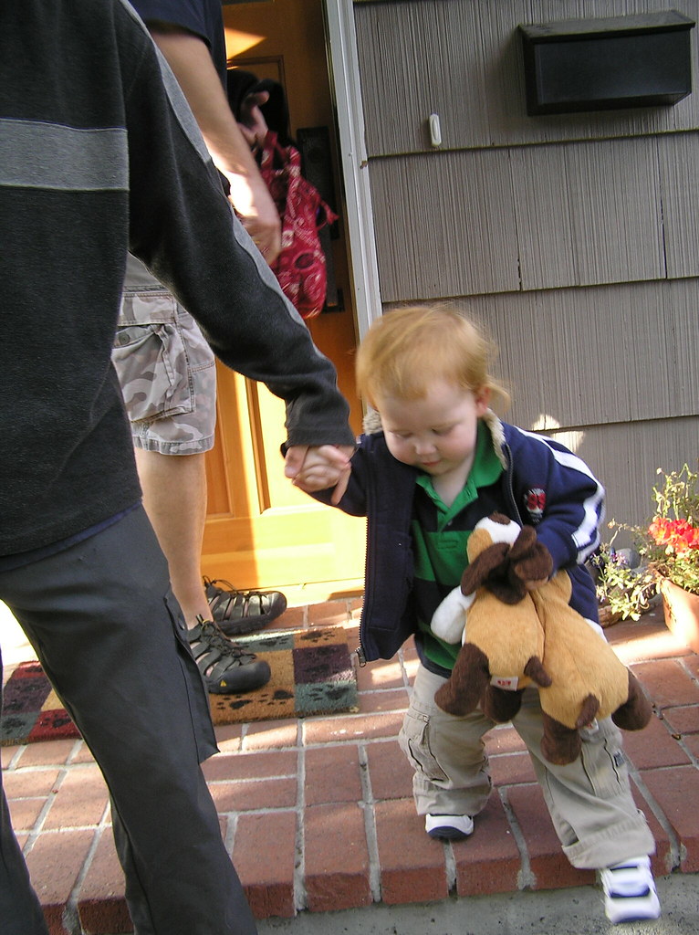 PUPPIES FOR SALE IN PORTLAND OREGON IN PORTLAND OREGON PUPPIES FOR SALE IN PORTLAND OREGON
