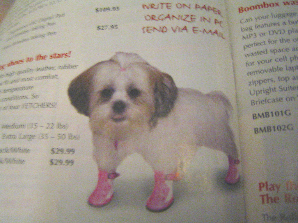 DOG BOOTIES FOR HARDWOOD FLOORS. FOR HARDWOOD FLOORS Dog booties for