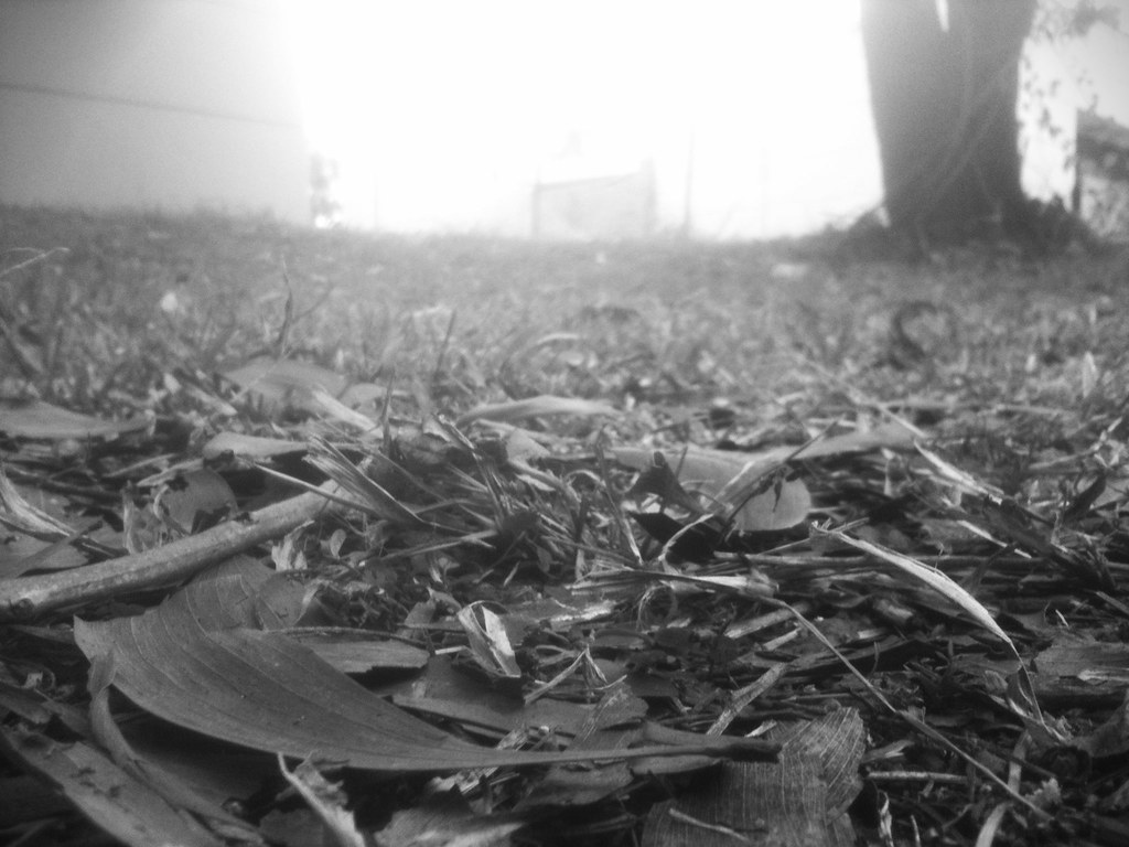 DRY CLEANERS DARWIN DRY CLEANERS Dry Cleaners Darwin Printer