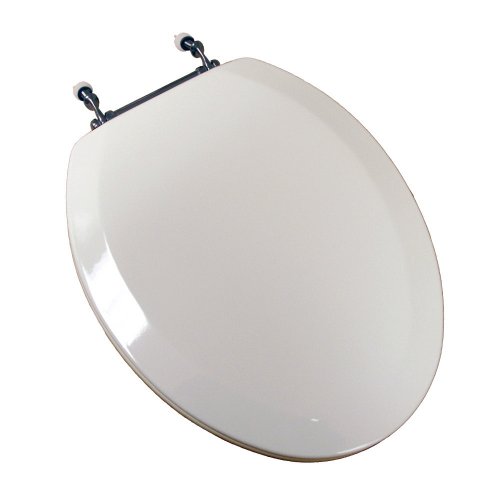 BRONZE TOILET SEAT HINGE