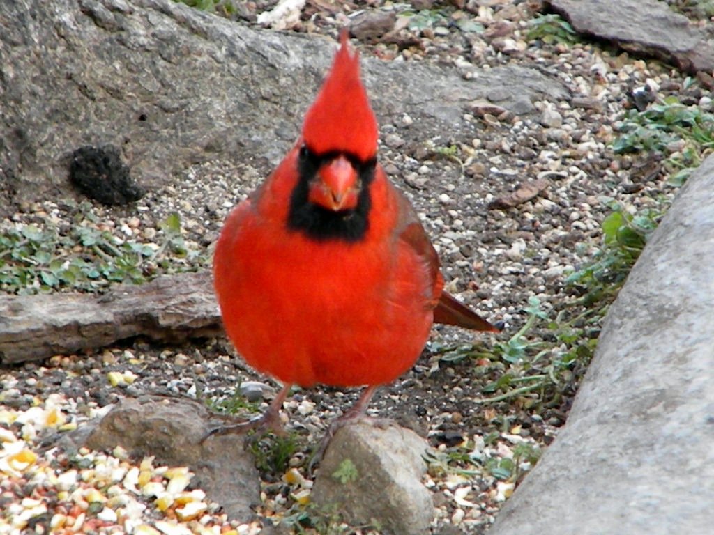 TENNESSEE PRISON INMATE SEARCH TENNESSEE PRISON Tennessee Prison