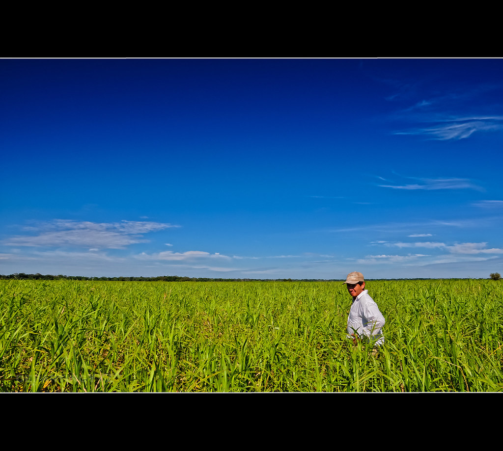 LAPD INMATE SEARCH INMATE SEARCH Lapd Inmate Search Inmate Call
