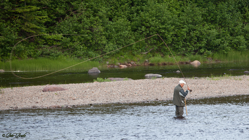 INDIAN RIVER COUNTY JAIL INMATE SEARCH INDIAN RIVER COUNTY Indian