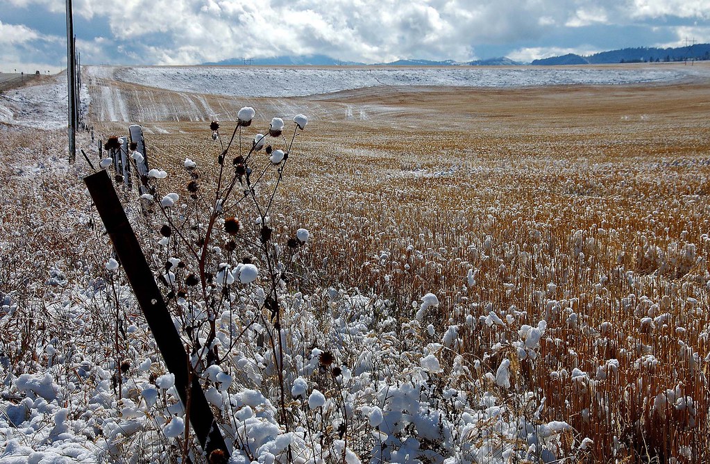 IDAHO INMATE LOCATOR INMATE LOCATOR Idaho inmate locator