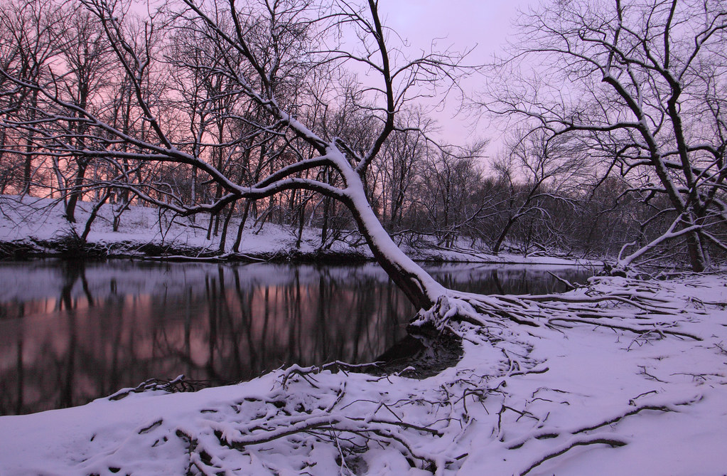 COOK COUNTY INMATE SEARCH MUGSHOTS INMATE SEARCH MUGSHOTS COOK
