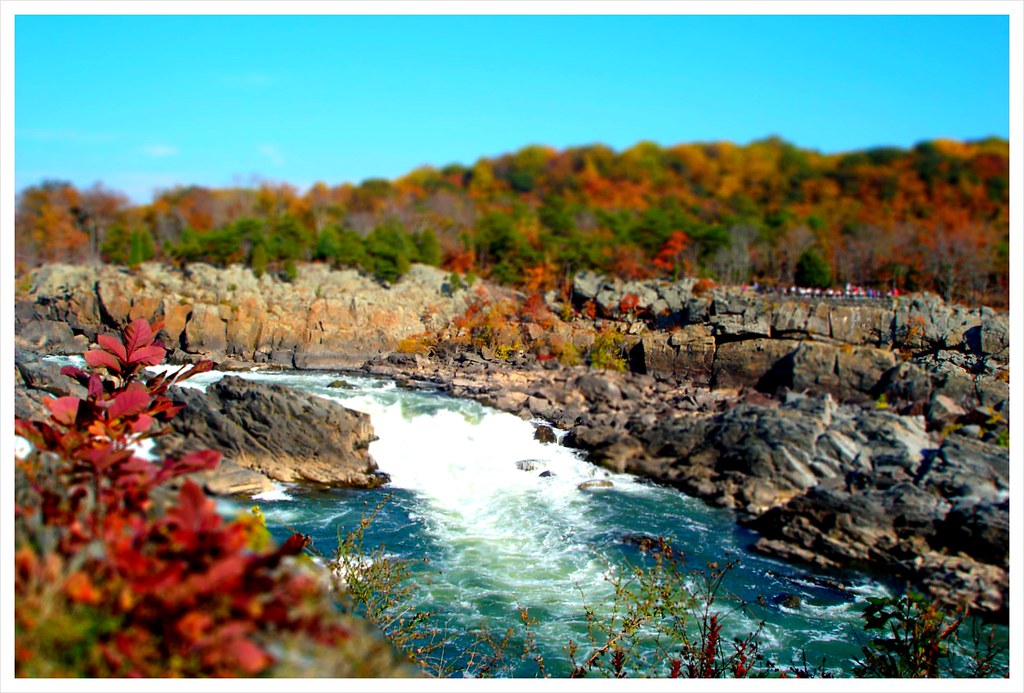 HOMES FOR RENT IN GREAT FALLS MT. IN GREAT FALLS MT « Homes For Rent In