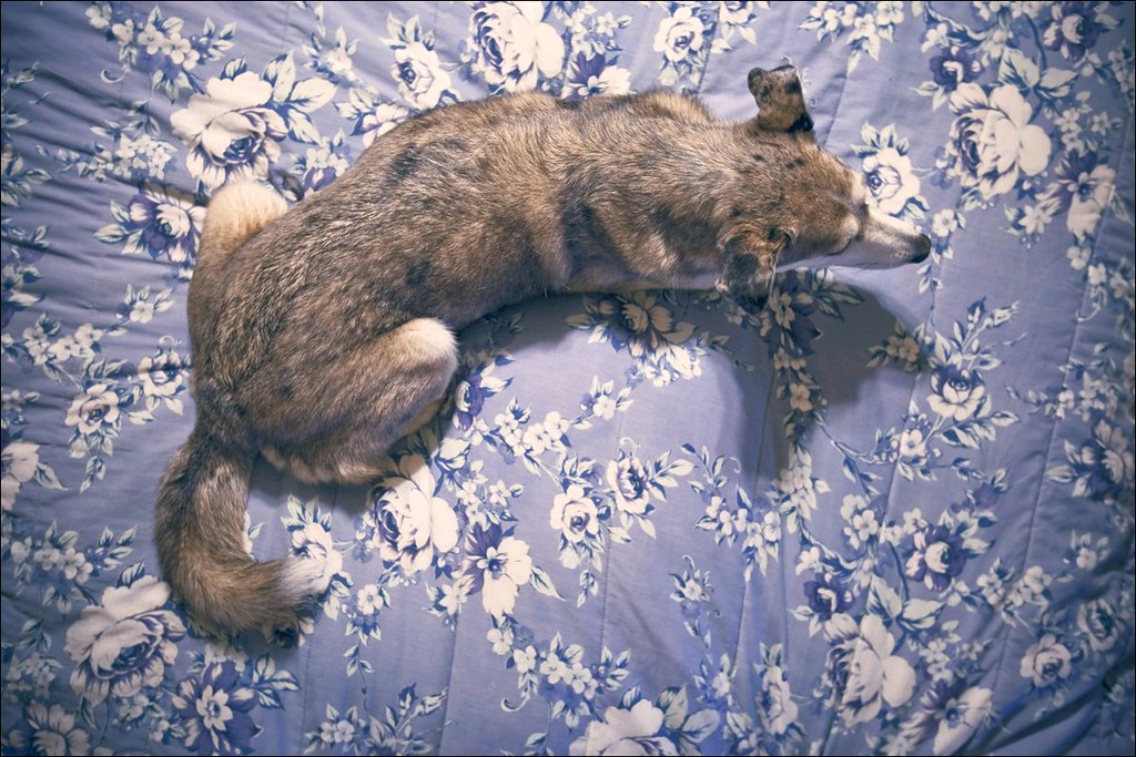 ASHLEY FURNITURES STORE