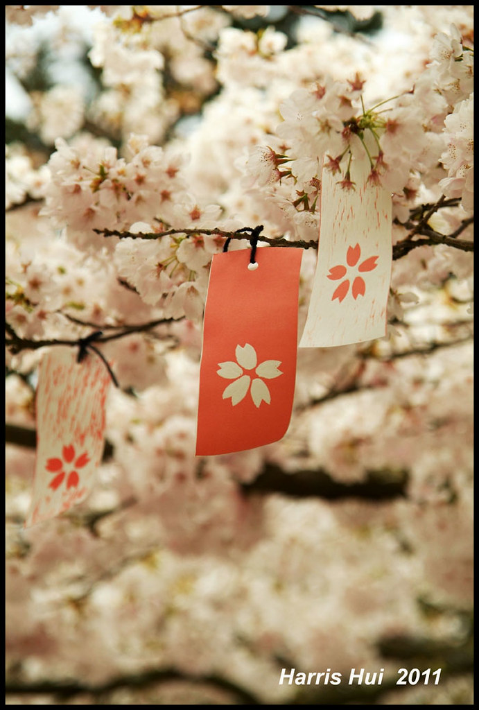 AAA FLOWERS DISCOUNT