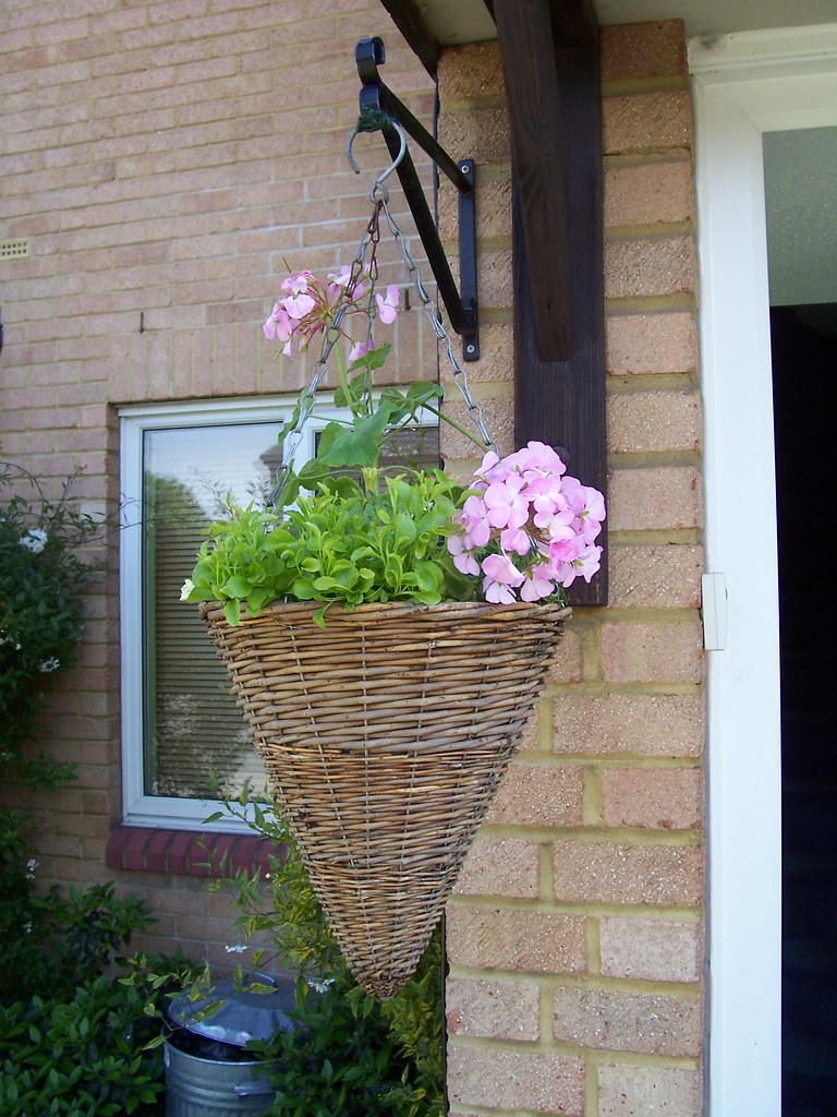 FLOWERING PLANTS HANGING BASKETS. FLOWERING PLANTS 50TH BIRTHDAY FLOWERS