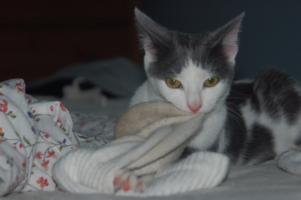 CLEANING DIRTY SOCKS. DIRTY SOCKS BEST ORGANIC CLEANING PRODUCTS