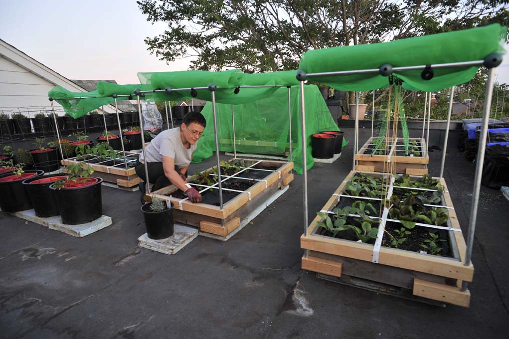 CONTAINER GARDENING IN SHADE CONTAINER GARDENING 3M PLASTIC WINDOW