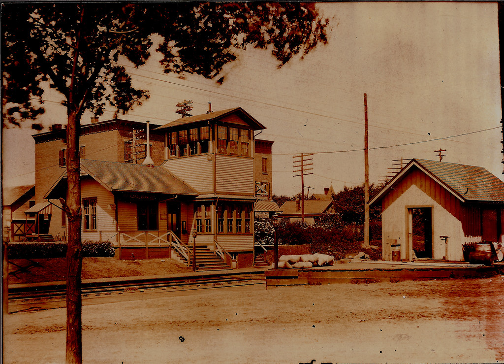 FLORAL PARK SCHOOL. FLORAL PARK ASSOCIATED CUT FLOWER