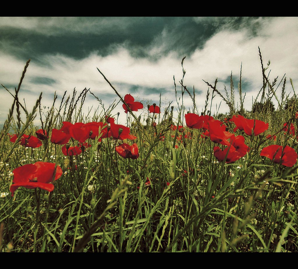 WHAT A WONDERFUL WORLD RINGTONES WONDERFUL WORLD RING BOSS YOU HAVE