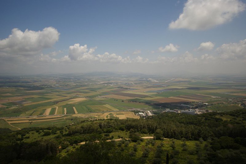 SENDING FLOWERS TO ISRAEL SENDING FLOWERS ARTIFICIAL SILK FLOWERS WHOLESALE