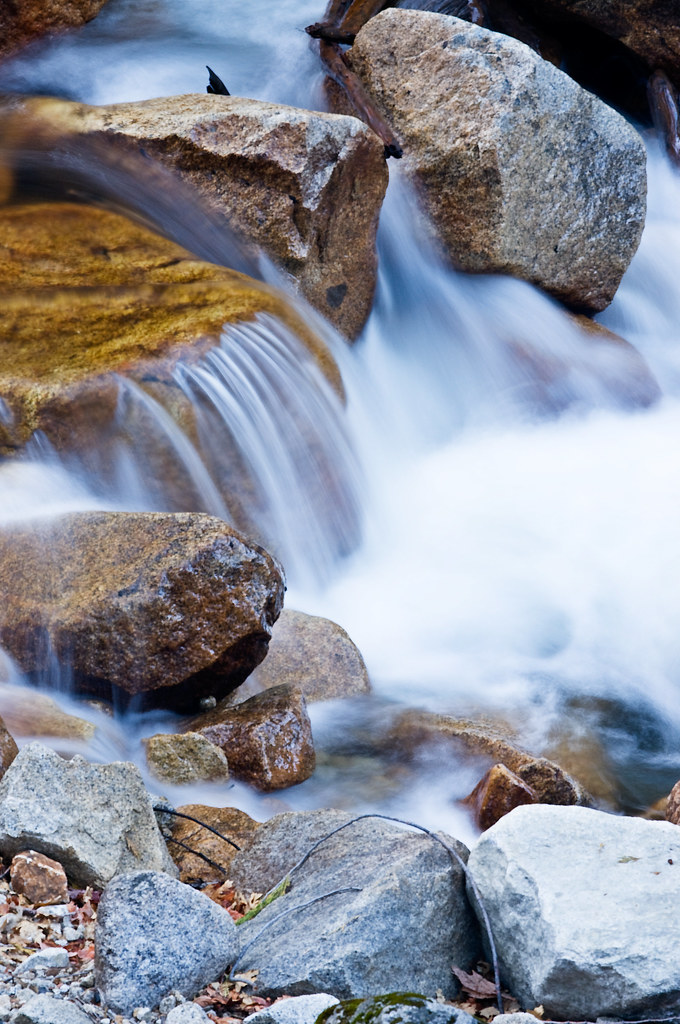 APRIL BLOOMING FLOWERS