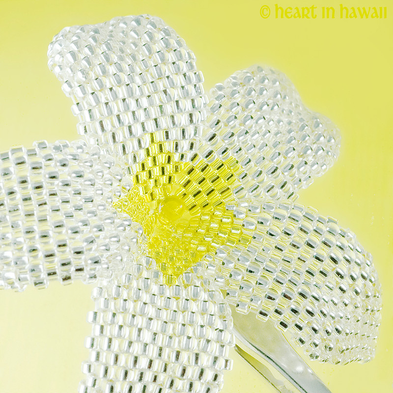 AAA FLOWERS DISCOUNT