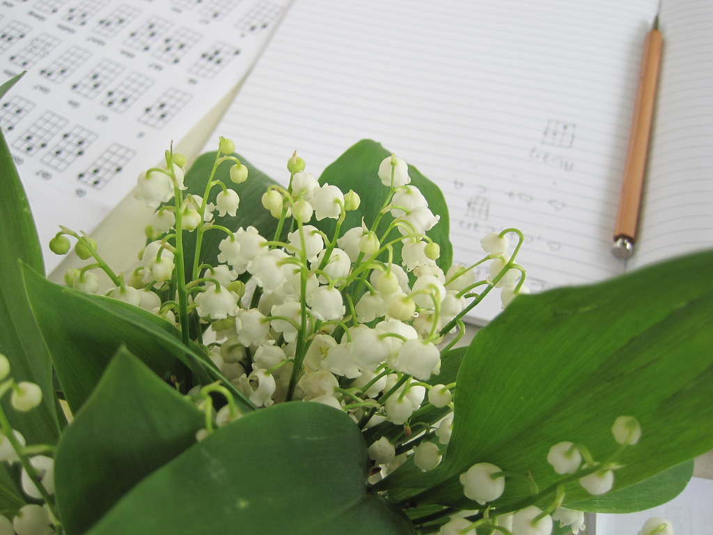 AAA FLOWERS DISCOUNT