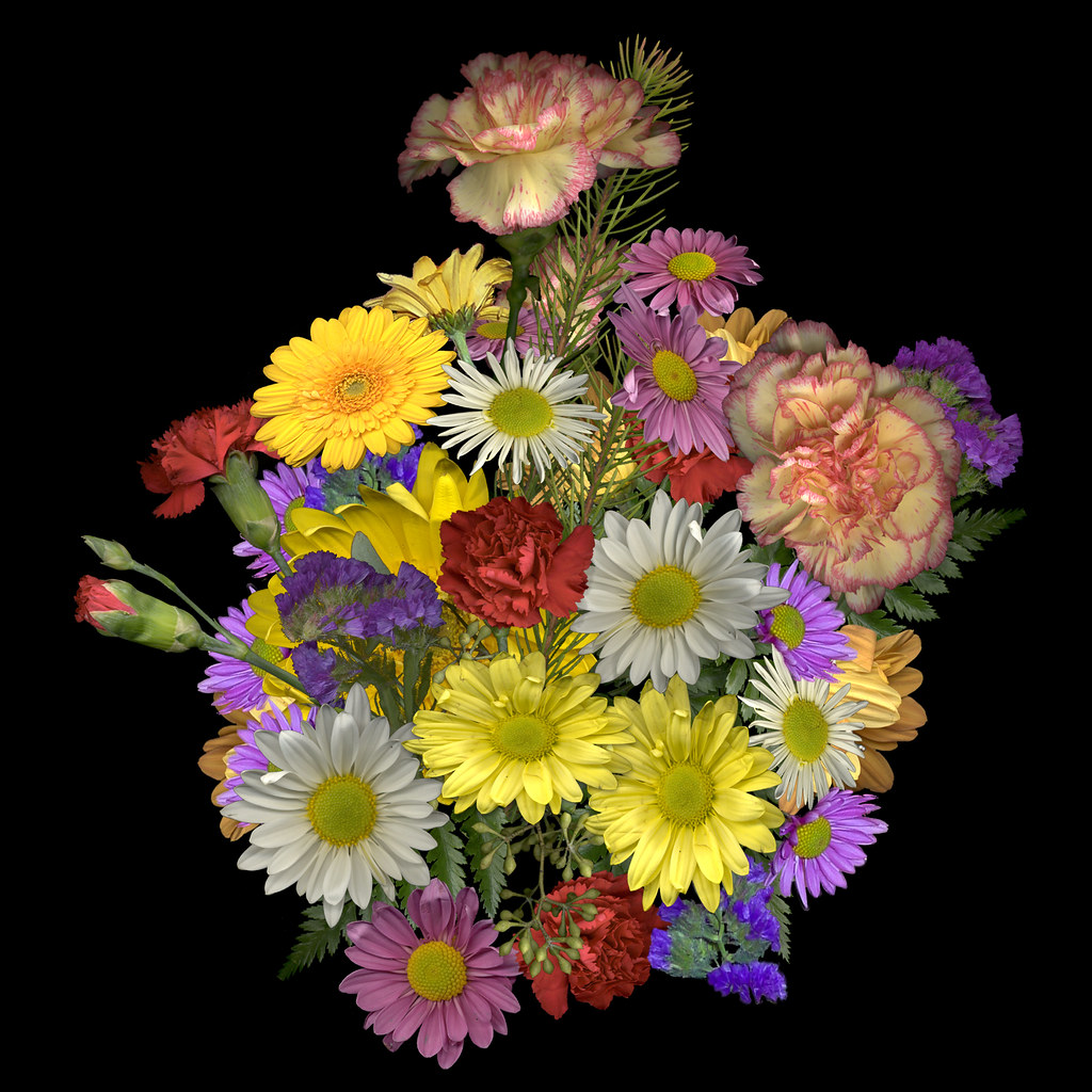 PETALS AND STEMS FLORIST. PETALS AND BEST FLOWERS TO PLANT IN SPRING