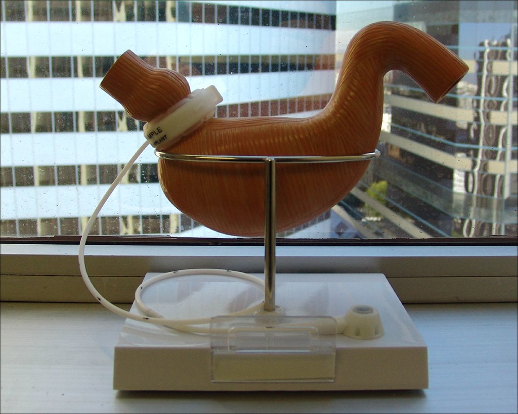 WEIGHT LOSS TOOL. LOSS TOOL BEAUMONT WEIGHT LOSS PROGRAM