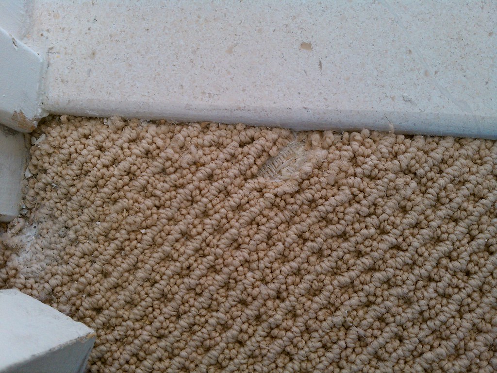 PATCH BERBER CARPET PATCH BERBER AVERAGE CARPET PRICES