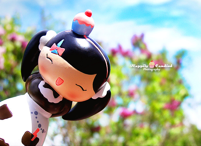 AAA FLOWERS DISCOUNT