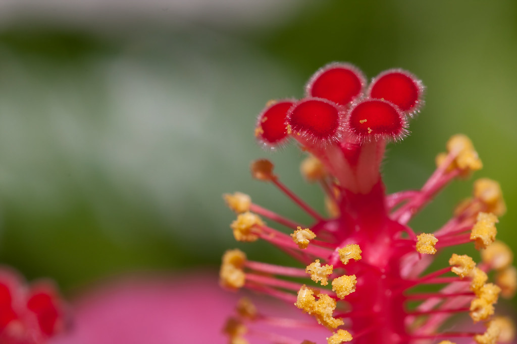 WHOLESALE HAWAIIAN FLOWERS WHOLESALE HAWAIIAN ARTIFICIAL SILK