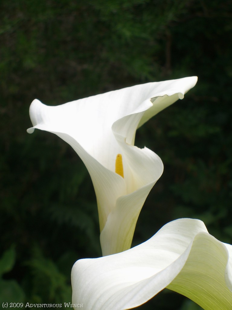 B J FLORIST SUPPLY CO