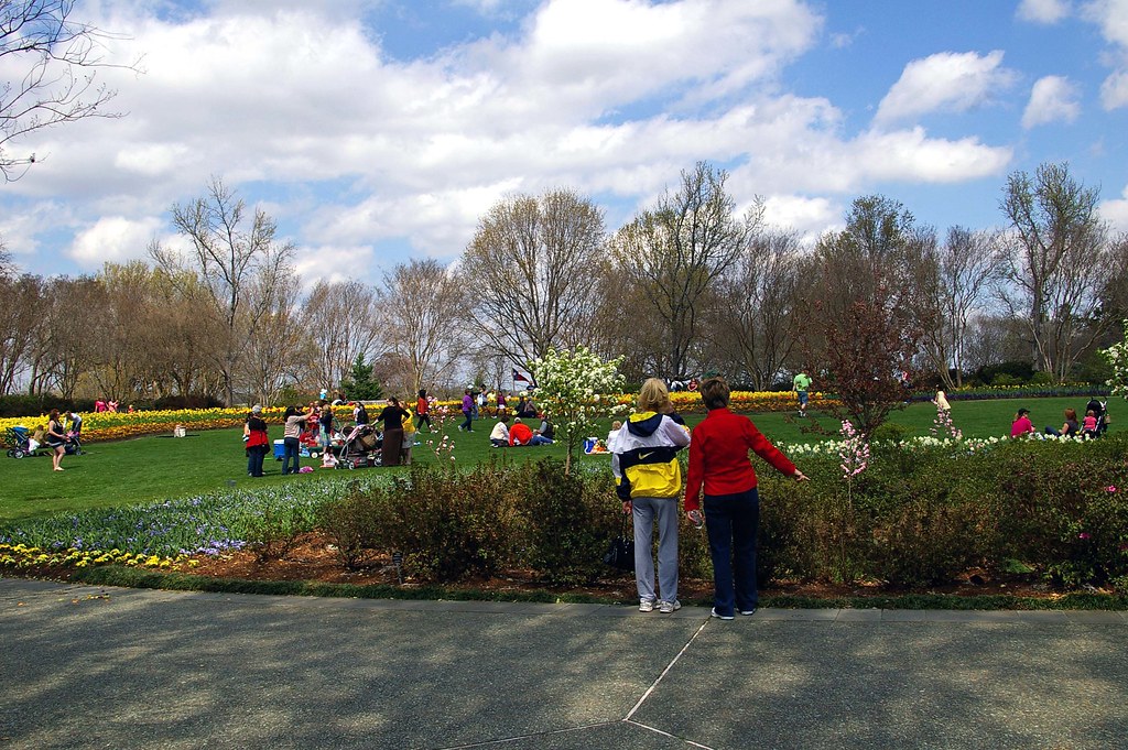 FLOWERS IN DALLAS. FLOWERS IN ARTIFICIAL FLOWERS OUTDOORS