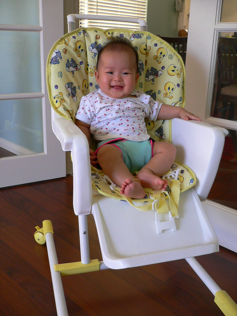 SAFETY HARNESS BABY. SAFETY HARNESS 7 MONTH OLD BABY MILESTONES