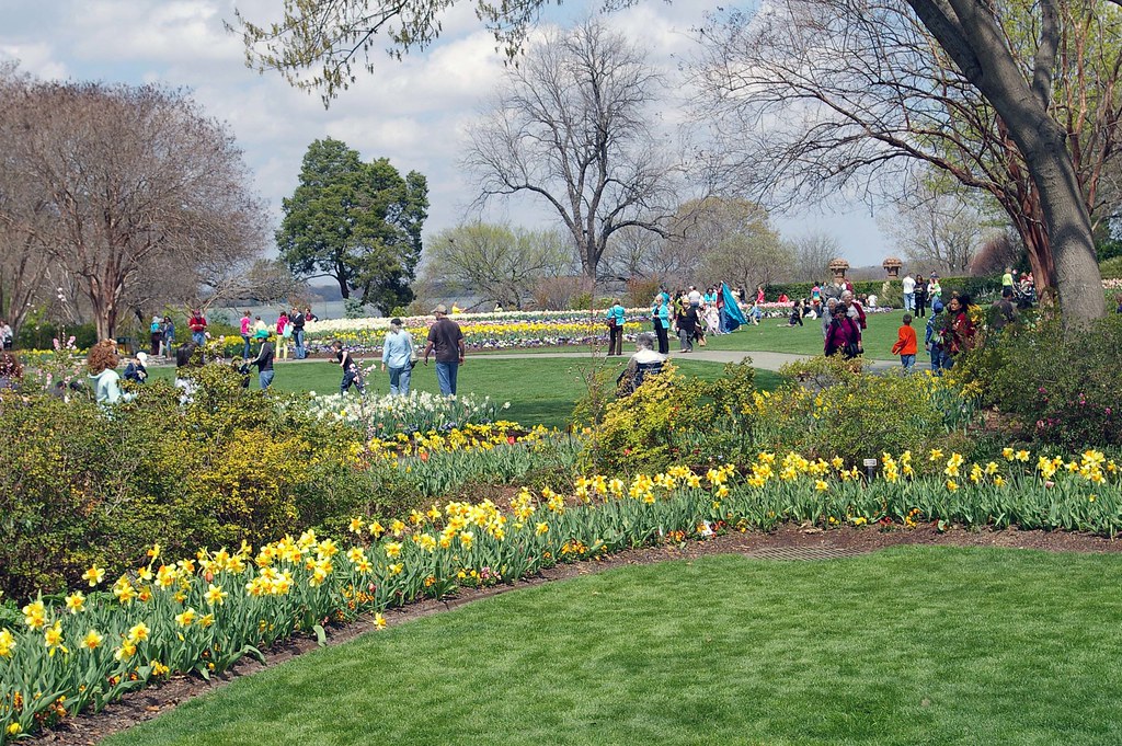 FLOWERS IN DALLAS. FLOWERS IN ARTIFICIAL FLOWERS OUTDOORS
