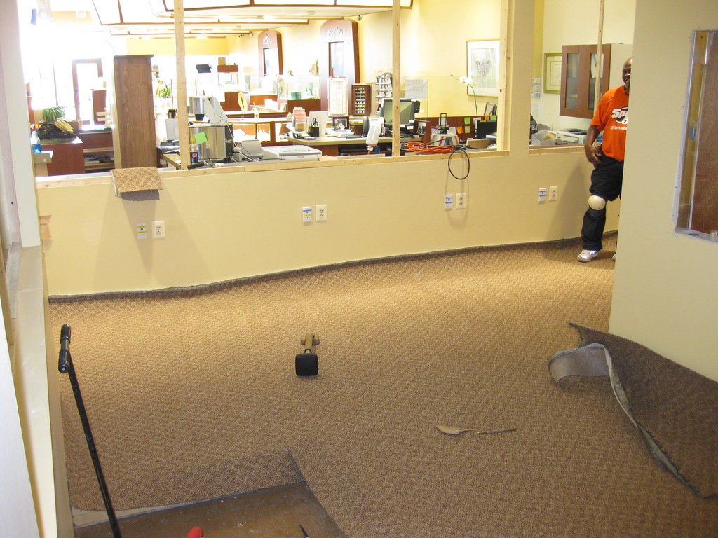 CARPET AND RUG INSTITUTE GREEN LABEL PLUS