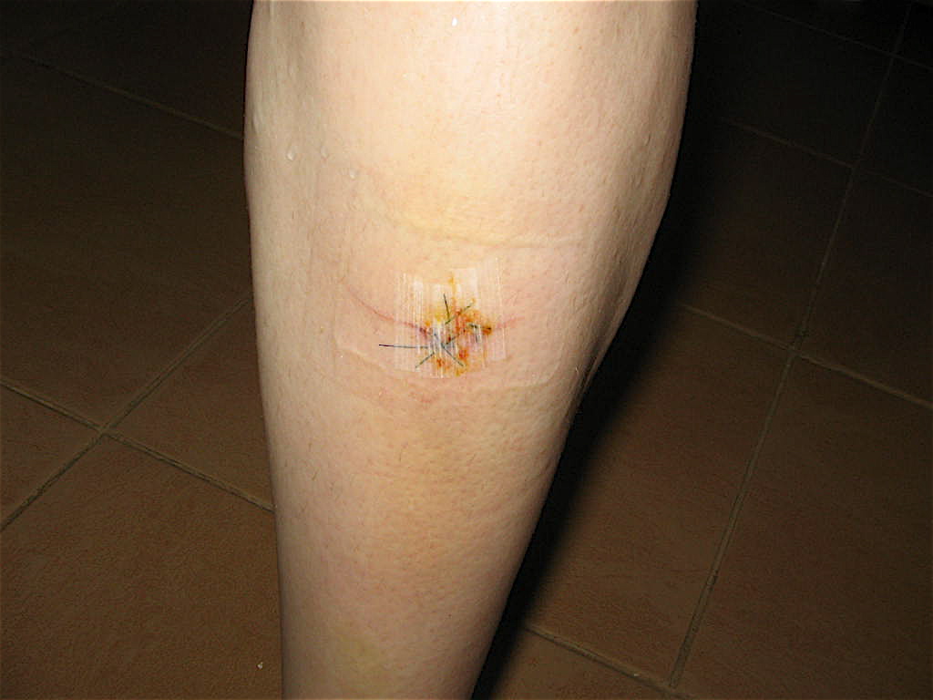 PLASTIC TOILET SEAT COVER. PLASTIC TOILET AIRHAWK MOTORCYCLE SEAT