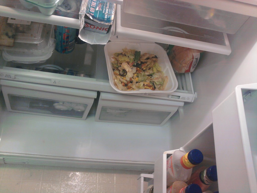 REFRIGERATOR DOOR LEFT OPEN LEFT OPEN ELECTRIC WINE REFRIGERATORS