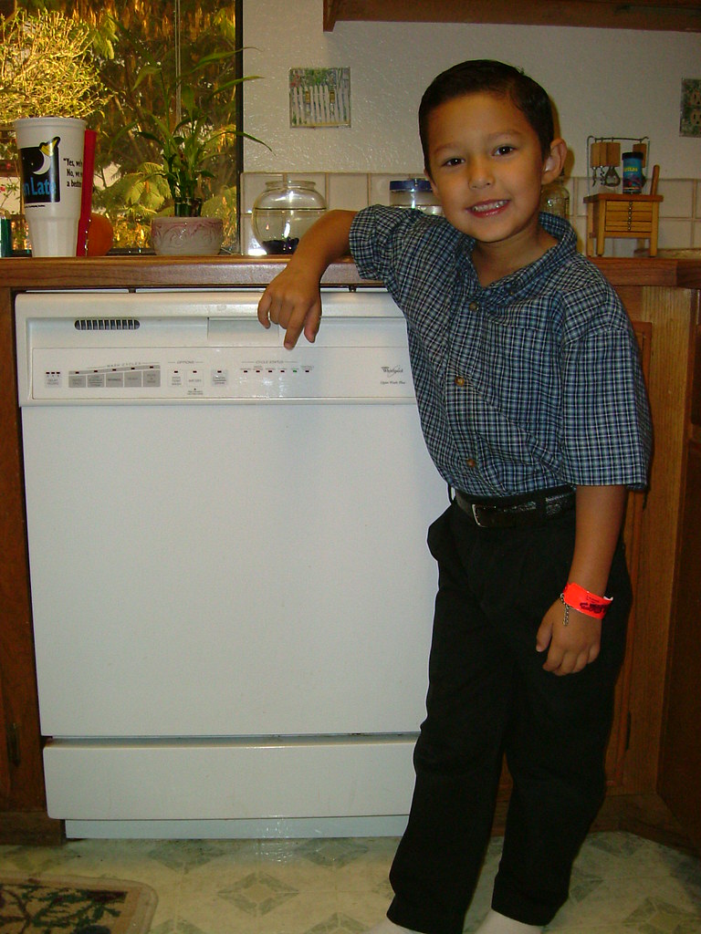 DISHWASHERS SALES. DISHWASHERS AMANA CLOTHES DRYER REPAIR