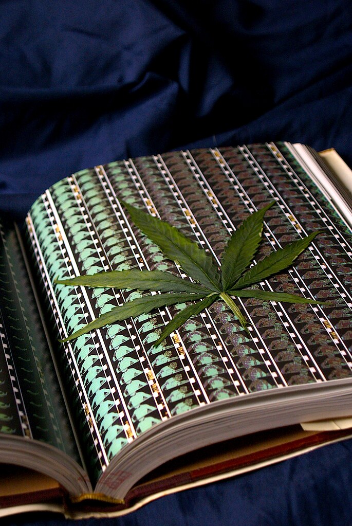 BRIANS GOALIE EQUIPMENT WEBSITE