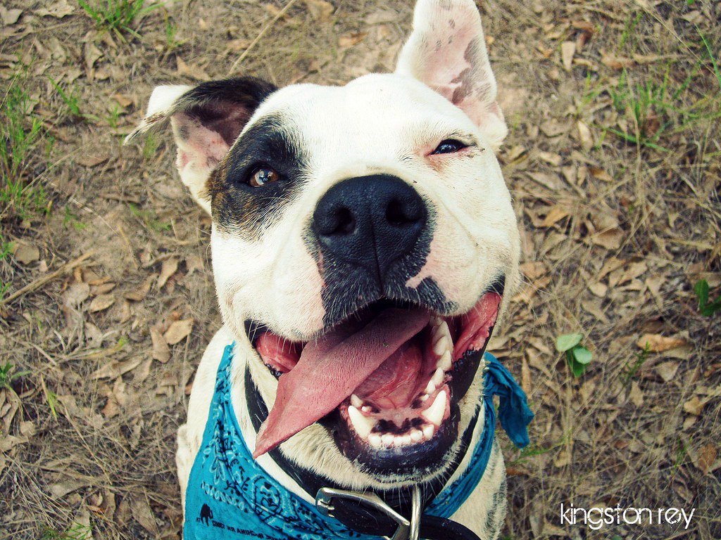 ASHLEY FURNITURES STORE