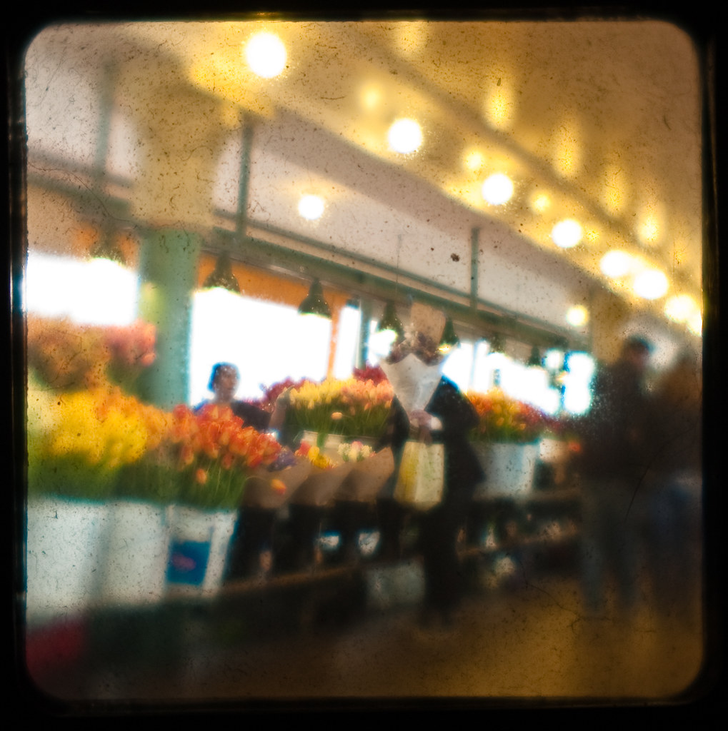 SEATTLE FLOWER SHOPS SEATTLE FLOWER BUY BULBS FLOWERS
