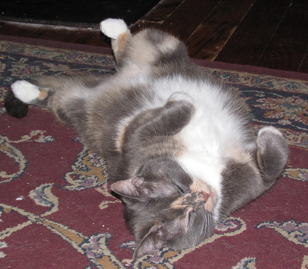 SLEEP CHEAP FURNITURE STORE. SLEEP CHEAP CORT FURNITURE CLEARANCE CENTER HOUSTON