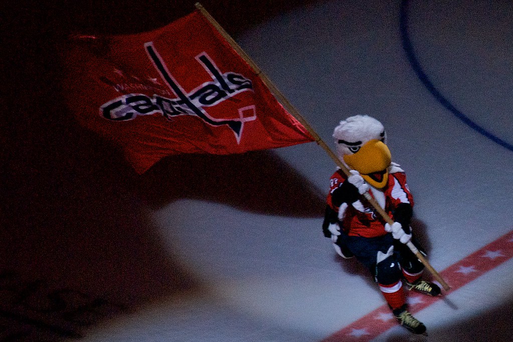 SHELTI SLAPSHOT DOME HOCKEY TABLE. DOME HOCKEY TABLE ALIANT PEEWEE