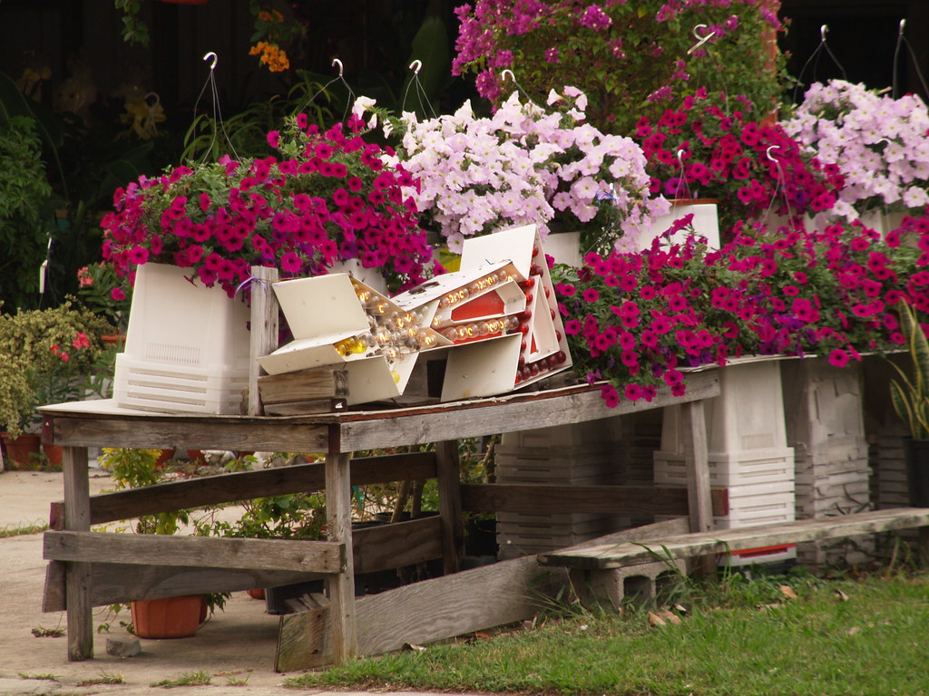 ADDISON FLORIST CHICAGO